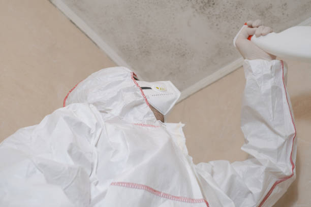 Office Mold Removal Services in Tuskegee, AL